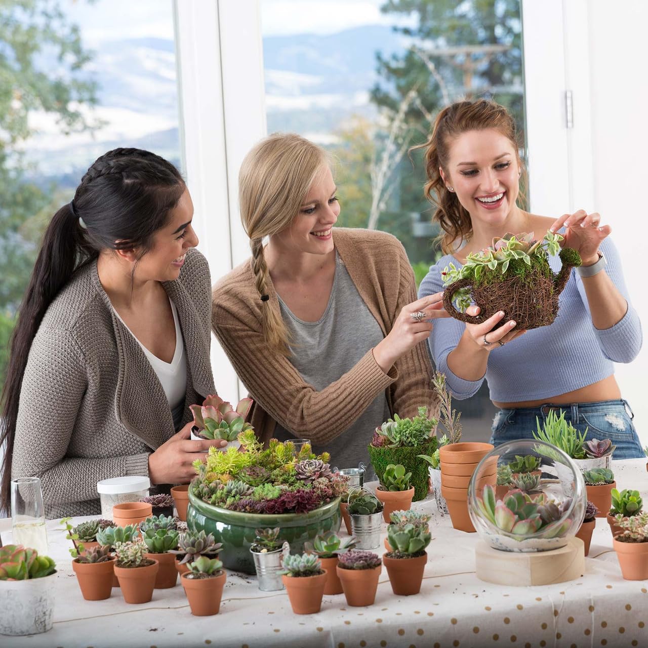 Mountain Crest Gardens Ultimate Succulent Variety Pack - 25 Unique Live Plants, Many Types, Rooted in 2 inch Pots - Indoor/Outdoor Real Succulents for Garden Decor, Favors, DIY Arrangements