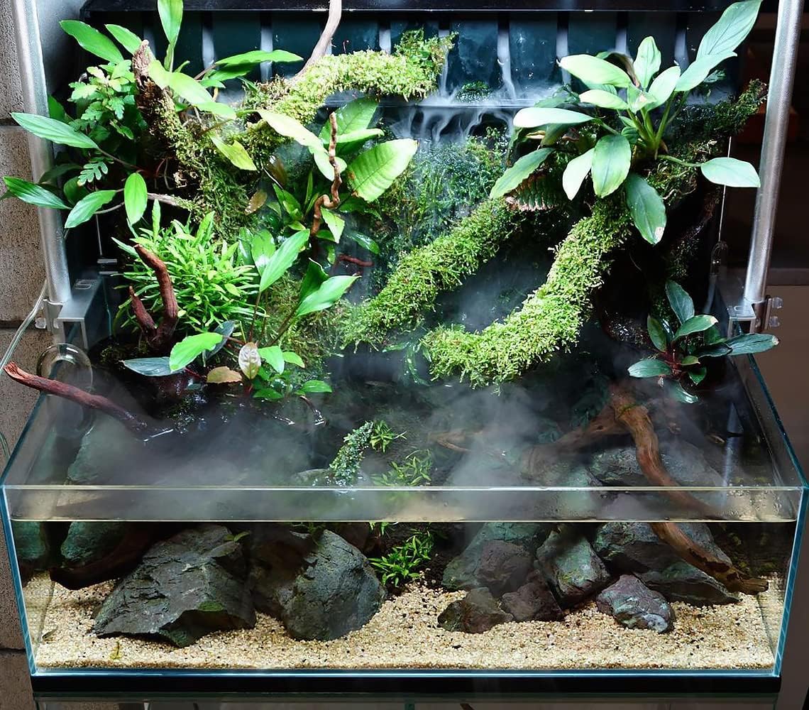 SubstrateSource Peacock Moss on Mesh Live Aquarium Plant - Freshwater Fish Tank Decorations for Natural Aquatic Decor
