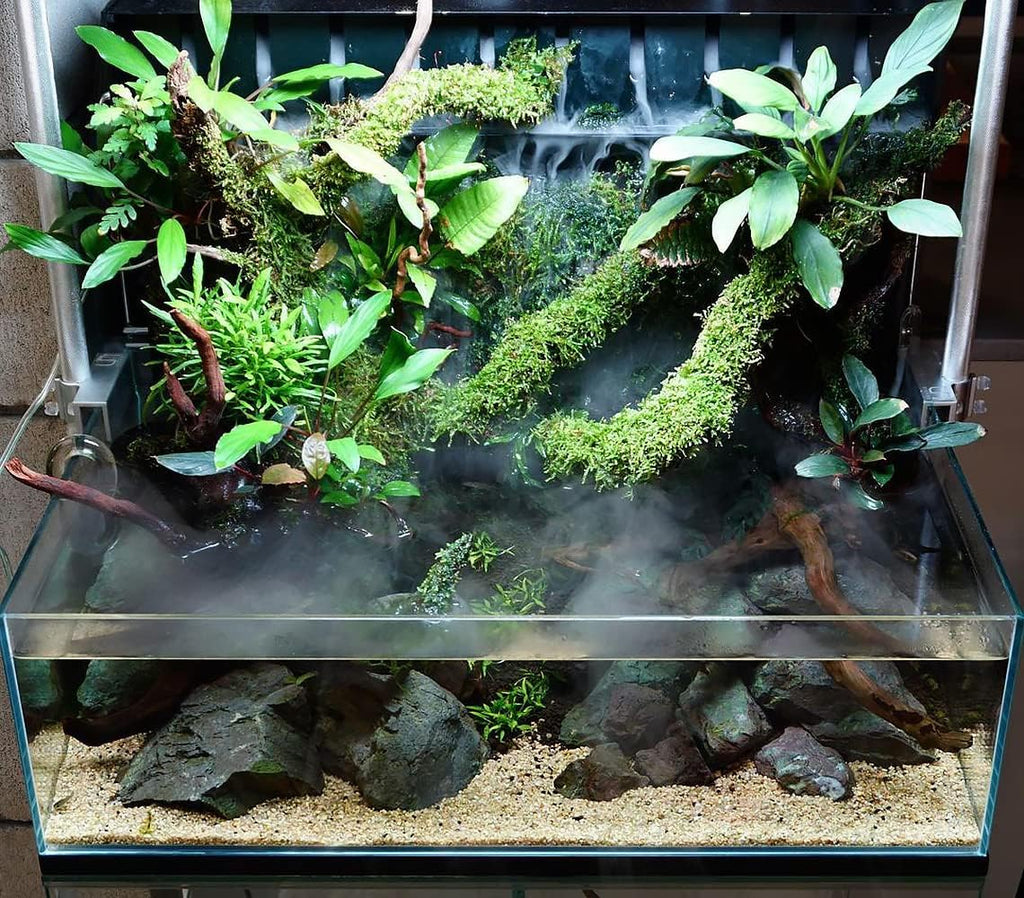 SubstrateSource Christmas Moss Live Aquarium Plant - Freshwater Fish Tank Decorations for Natural Aquatic Décor (Large Cup)