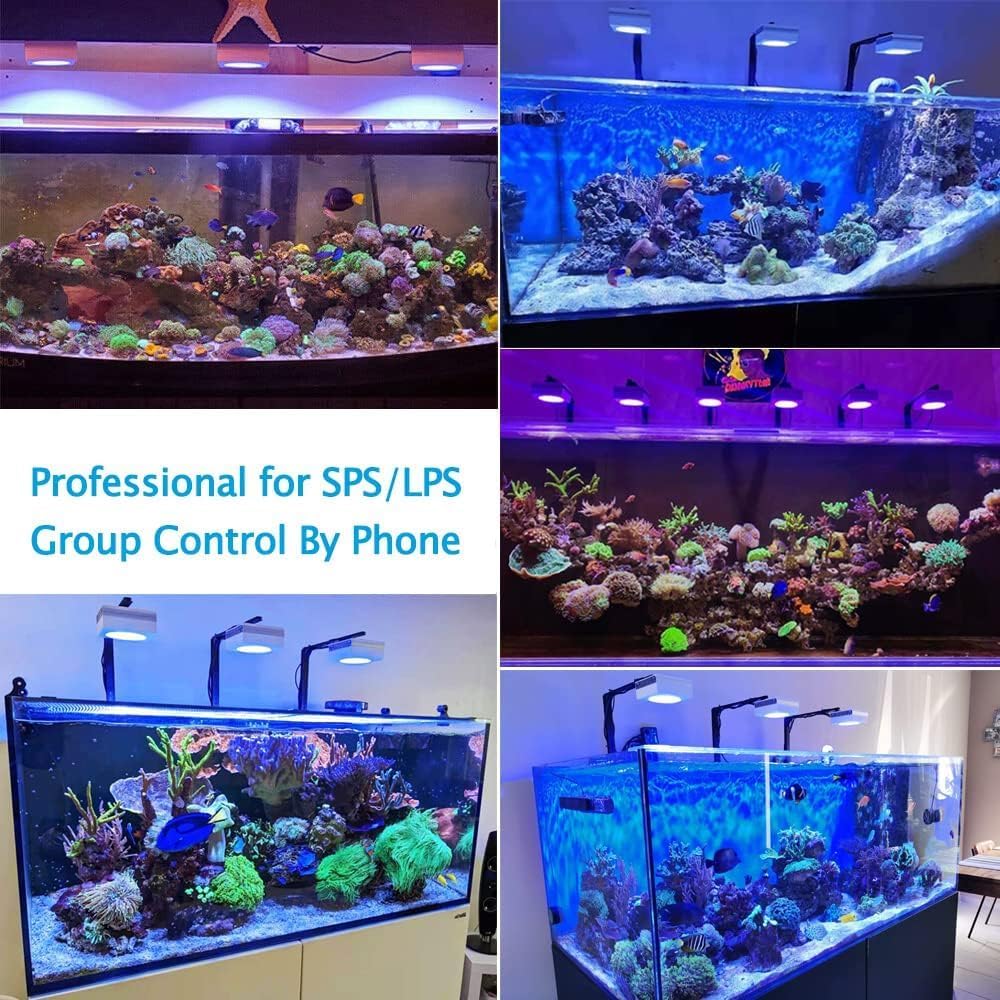 PopBloom RL90 WiFi Reef LED Light, 100W Reef Aquarium Lighting for SPS LPS Corals and Saltwater Fish Tanks, Enhanced Violet and Blue Spectrum,APP Fully Programmable (1 Light with Mount Arm kit)