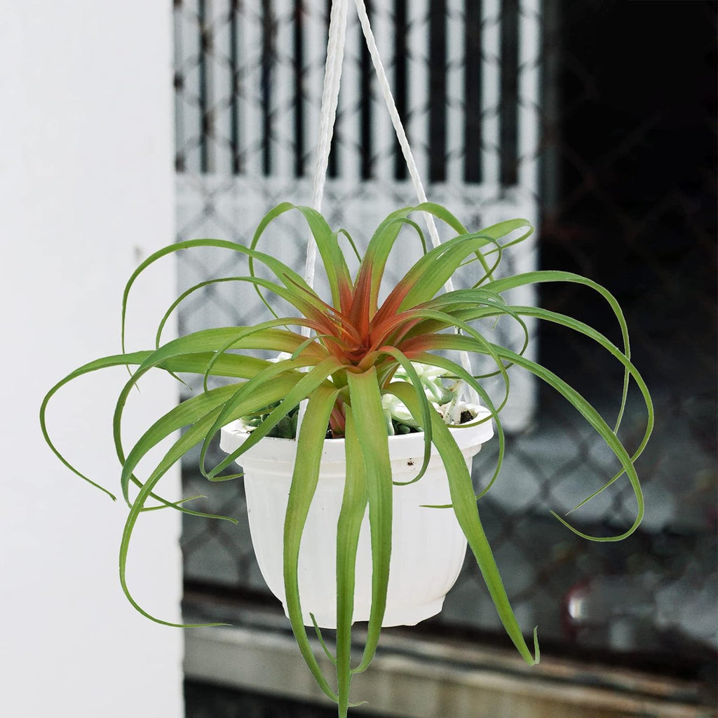 Agusbagli Succulents Plants Artificial, Large Fake Succulents Unpotted Flowers Pineapple Grass Greenery Plants for Home Outdoor Wedding Floral Arrangement Green