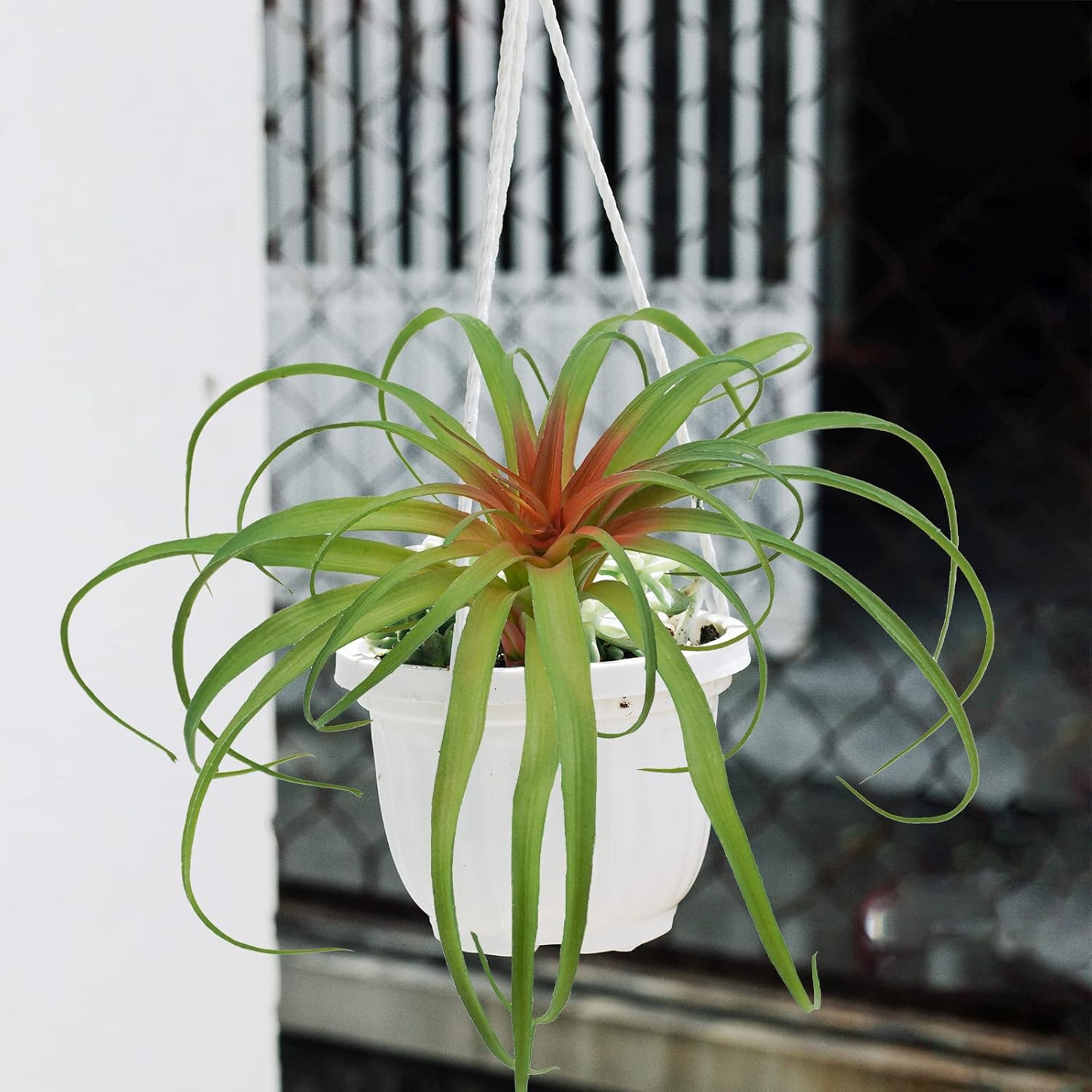 Agusbagli Succulents Plants Artificial, Large Fake Succulents Unpotted Flowers Pineapple Grass Greenery Plants for Home Outdoor Wedding Floral Arrangement Green