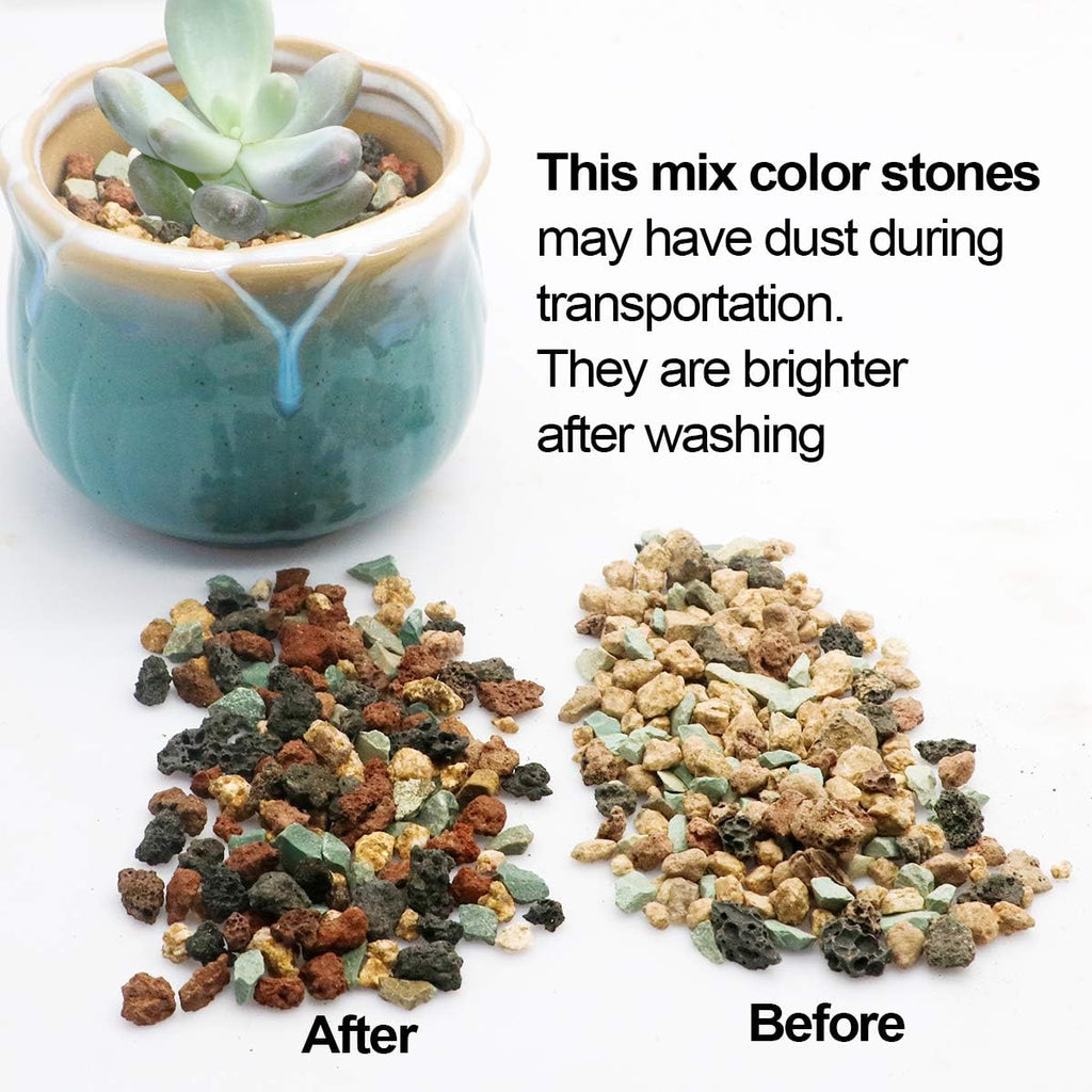 Mix Horticultural Lava Pebbles Pumice Potting Soil Amendment Succulent Cactus Bonsai Gritty Rock Decorative Gravel Plant Drainage Volcanic Rock for Terrarium Fairy Gardening Top Dressing 2.2lb