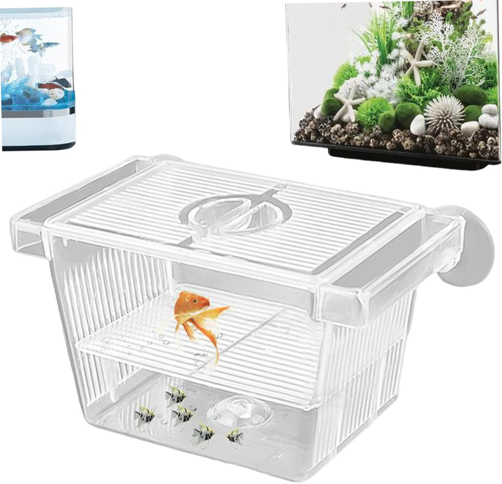 Fish Breeding Box, Transparent Insulation Breeder Box for Fish Tank, 5x3x3 Detachable Plastic Small Tank for Babies, Shrimp, Clown and Guppy