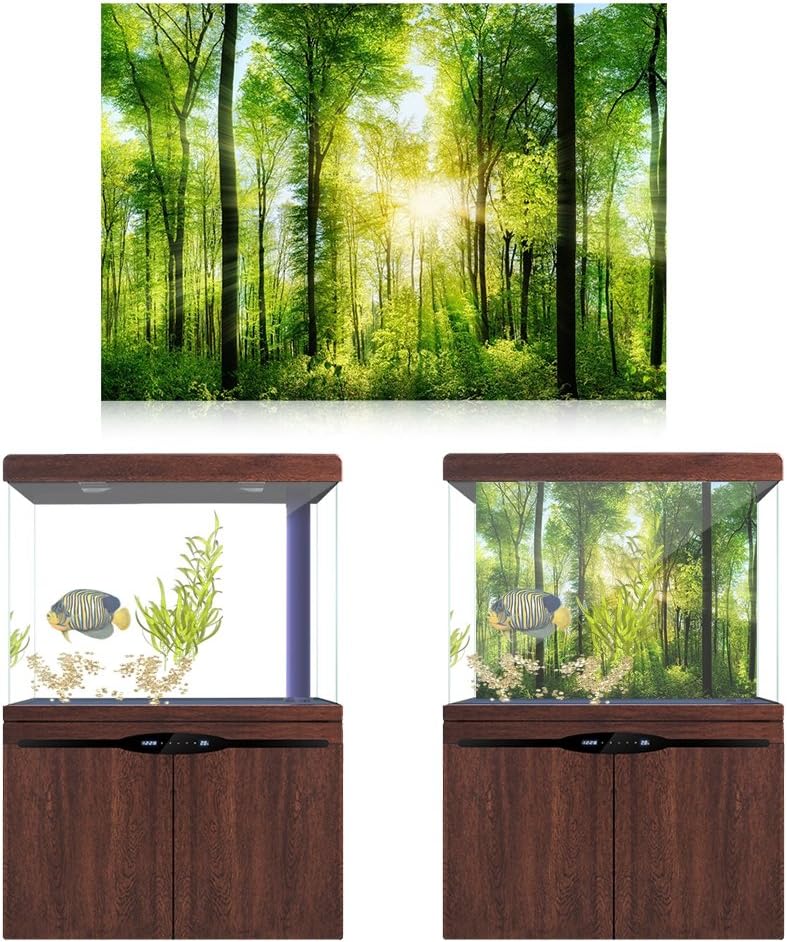 3D Effect Adhesive Forest Poster for Aquarium Fish Tank Decoration - Poster for Aquarium Poster for Fish Tank Easy Peel and Stick (61 * 41cm)