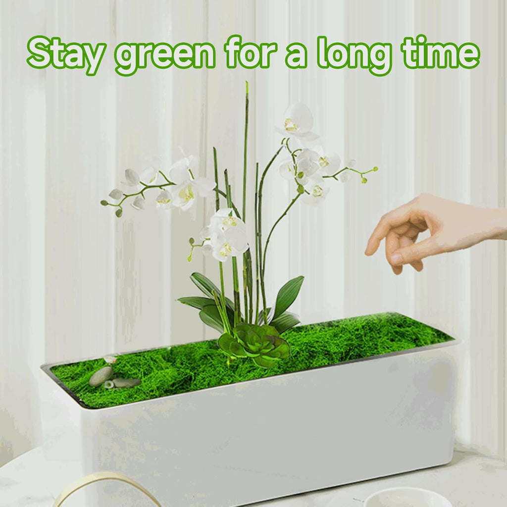 Fake Green Moss for Potted Plants Indoor, 10.6oz Artificial Moss for Crafts, Faux Moss Decor for Fairy Garden, DIY Decorative, Model Making, Walls, Glass Containers, Home