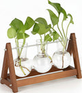 Plant Terrarium with Wooden Stand, 3 Bulb Glass Vase Metal Holder, Retro Hydroponics Planter for Home/Garden/Office Decor, for Women & Mom