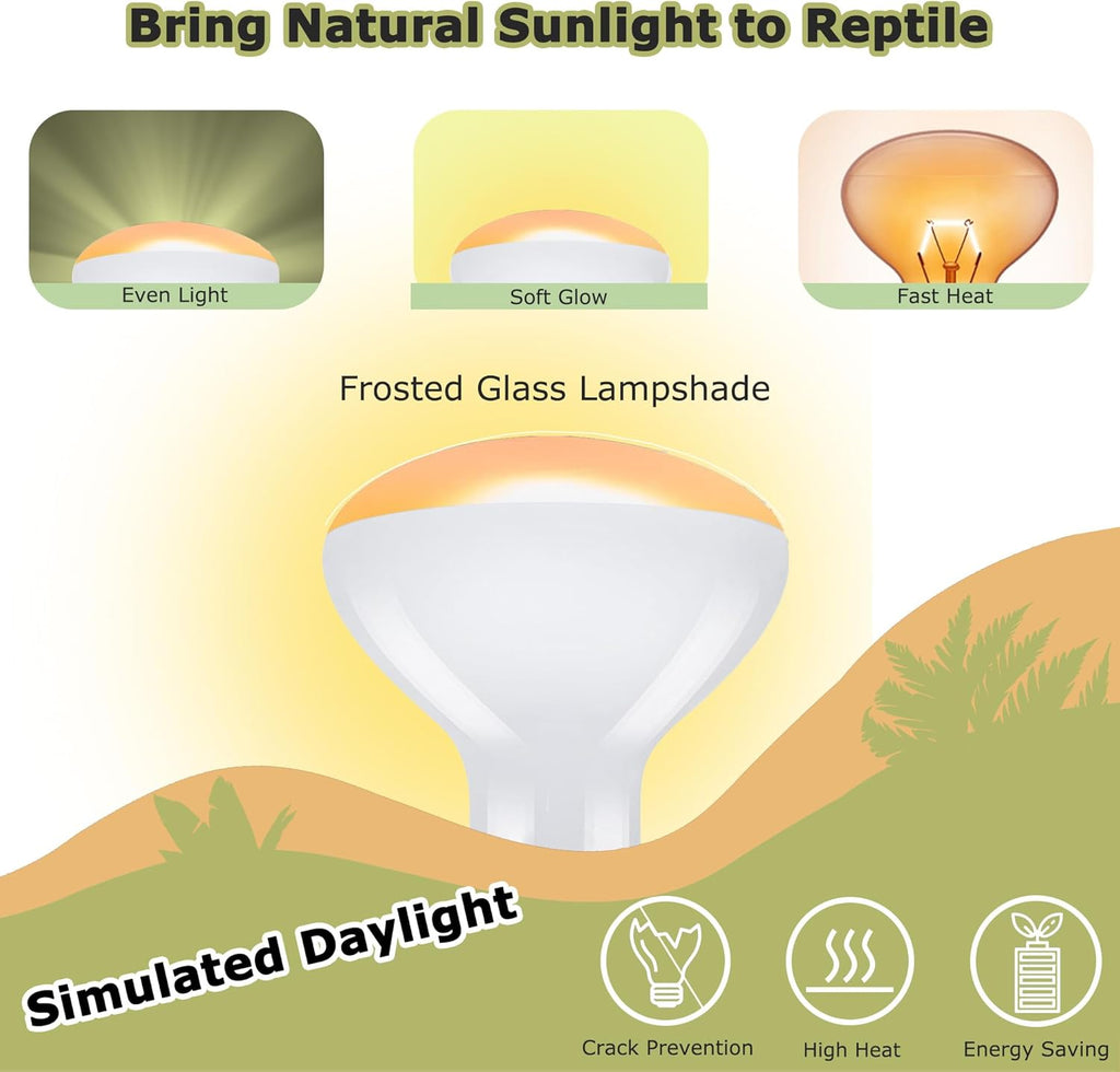 75W Reptile Heat Lamp Bulbs, 2.5 Inch UVA Amphibian Basking Spot Light for Bearded Dragon, Lizard, Tortoise & Chicks – Simulated Sunlight, Daylight Bulb for Aquariums and Tanks | 2 Pack