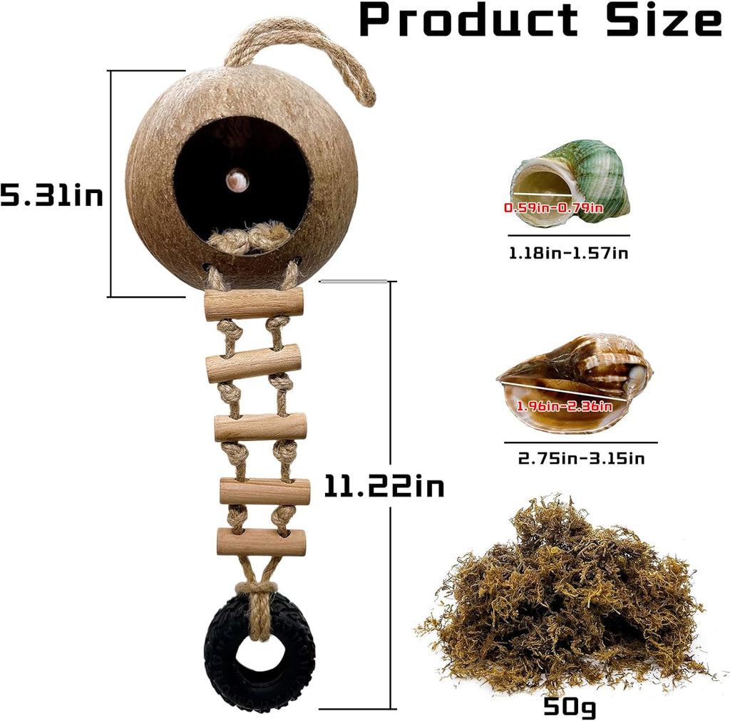 Hermit Crab Coconut Shell Hideout, Leopard Gecko Hide Habitat Cave with Ladder and 2 Sea Shells, Crested Gecko Tank Accessories with Moss for Reptiles,Hermit Crab Climbing Toys,5.3",5PCS