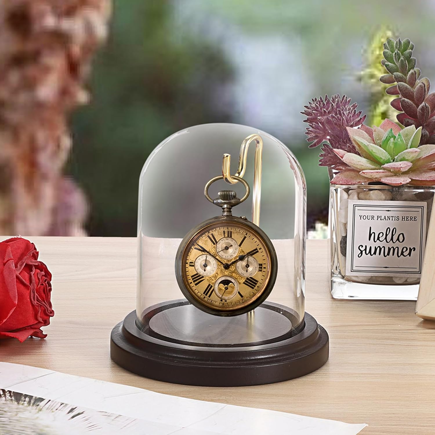JUXYES 2 Pack Clear Watch Glass Display Dome Cloche With Hook, Dome Cloche with Hook with Wooden Base, Glass Dome Cloche Bell Terrarium Jar Cloche Bell Jar Display for Watch Ornaments