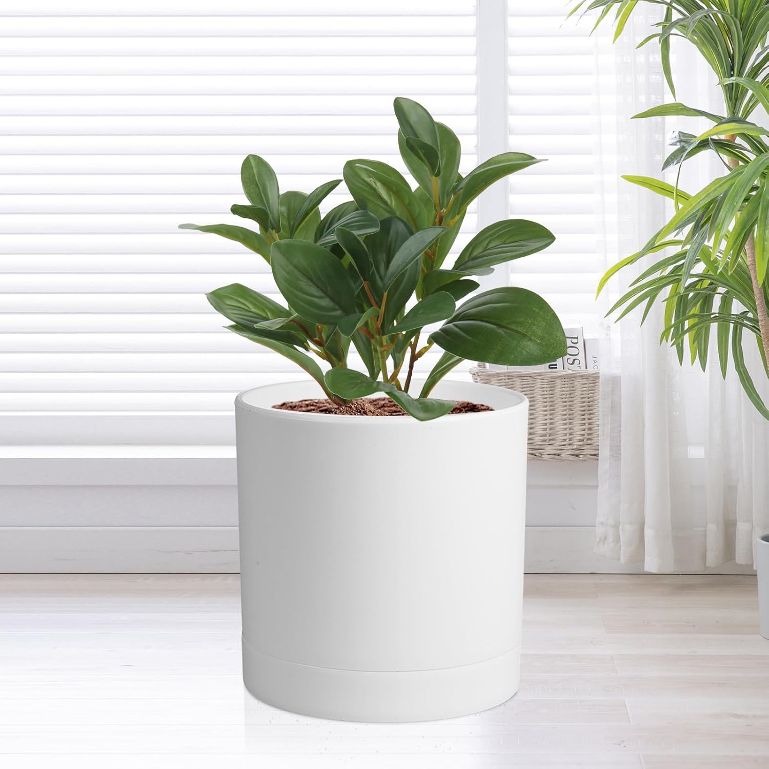 6/5/4 inch Flower Pots, Pack of 3 Cylinder Plant Pots for Small Indoor Outdoor Plants, Plastic Planters with Drainage Holes and Saucers for Garden Succulent Nursery House Plants, White