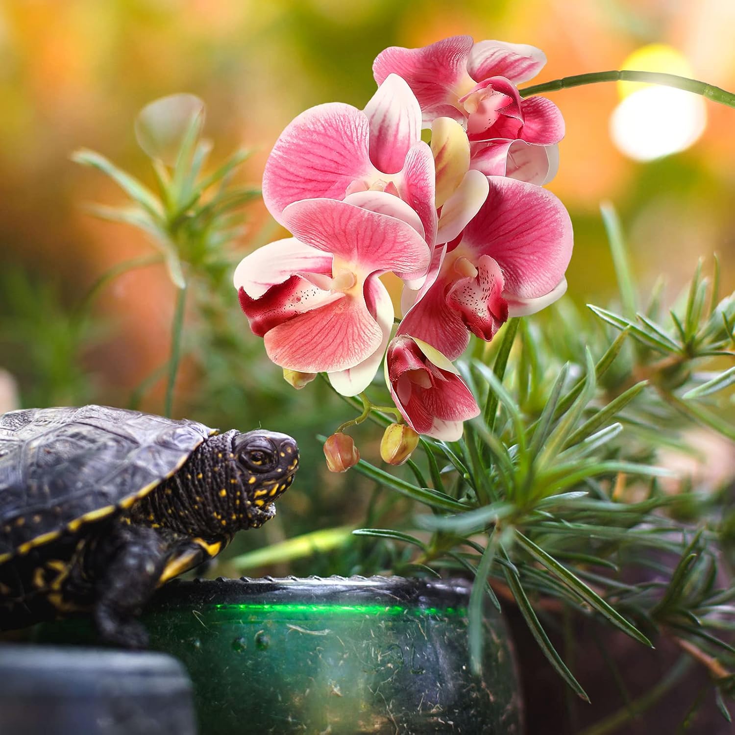 Chuangdi 2 Pieces Artificial Phalaenopsis with Suction Cups Terrarium Plant Decoration Reptile Habitat Plant Decor for Hermit Crab Lizards Geckos Snake Reptile (Dark Pink, White Yellow)