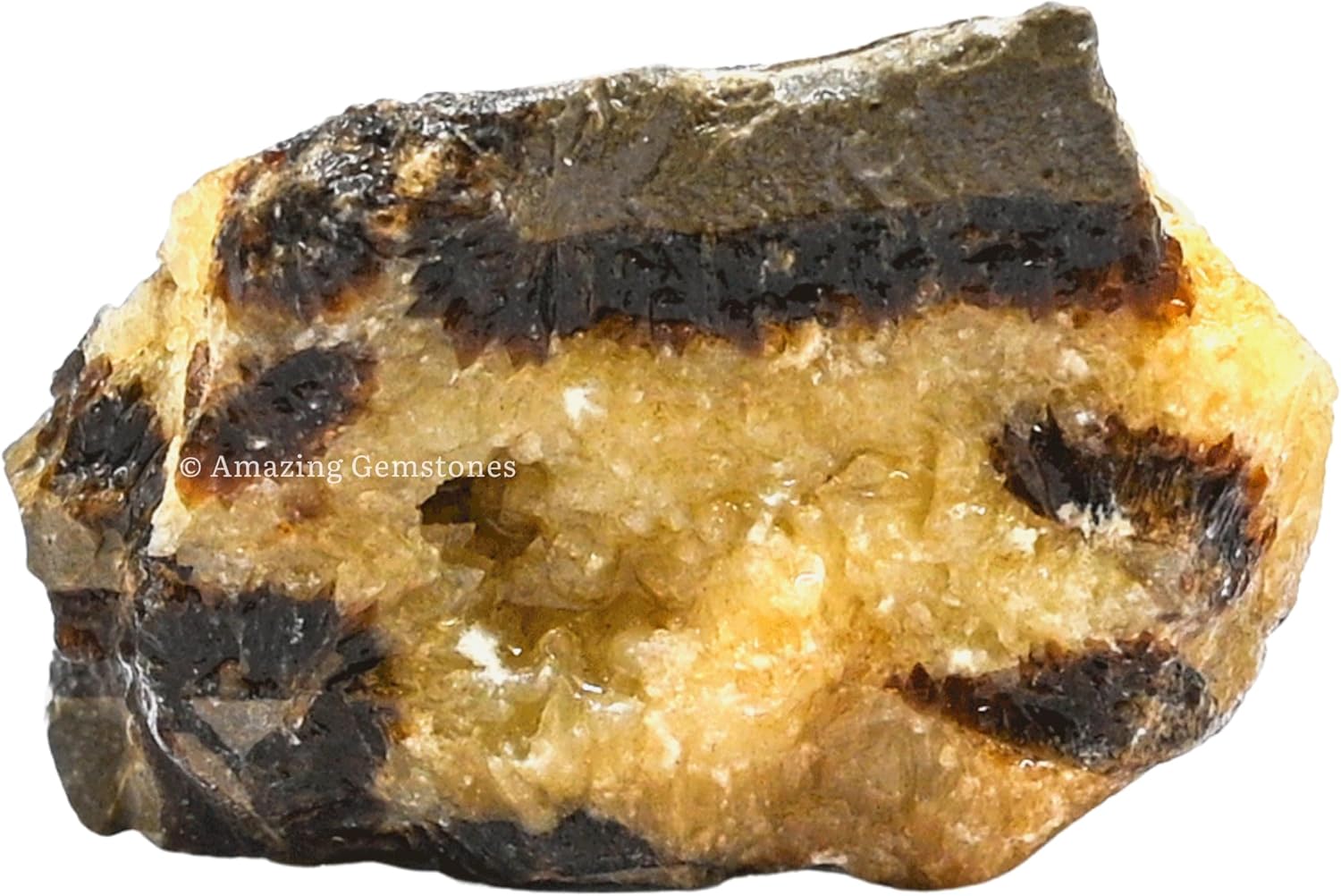 Amazing Gemstone Septarian Raw Crystals and Healing Stones, Natural Rocks for Tumbling and DIY Raw Stones and Crystals (1 lb)