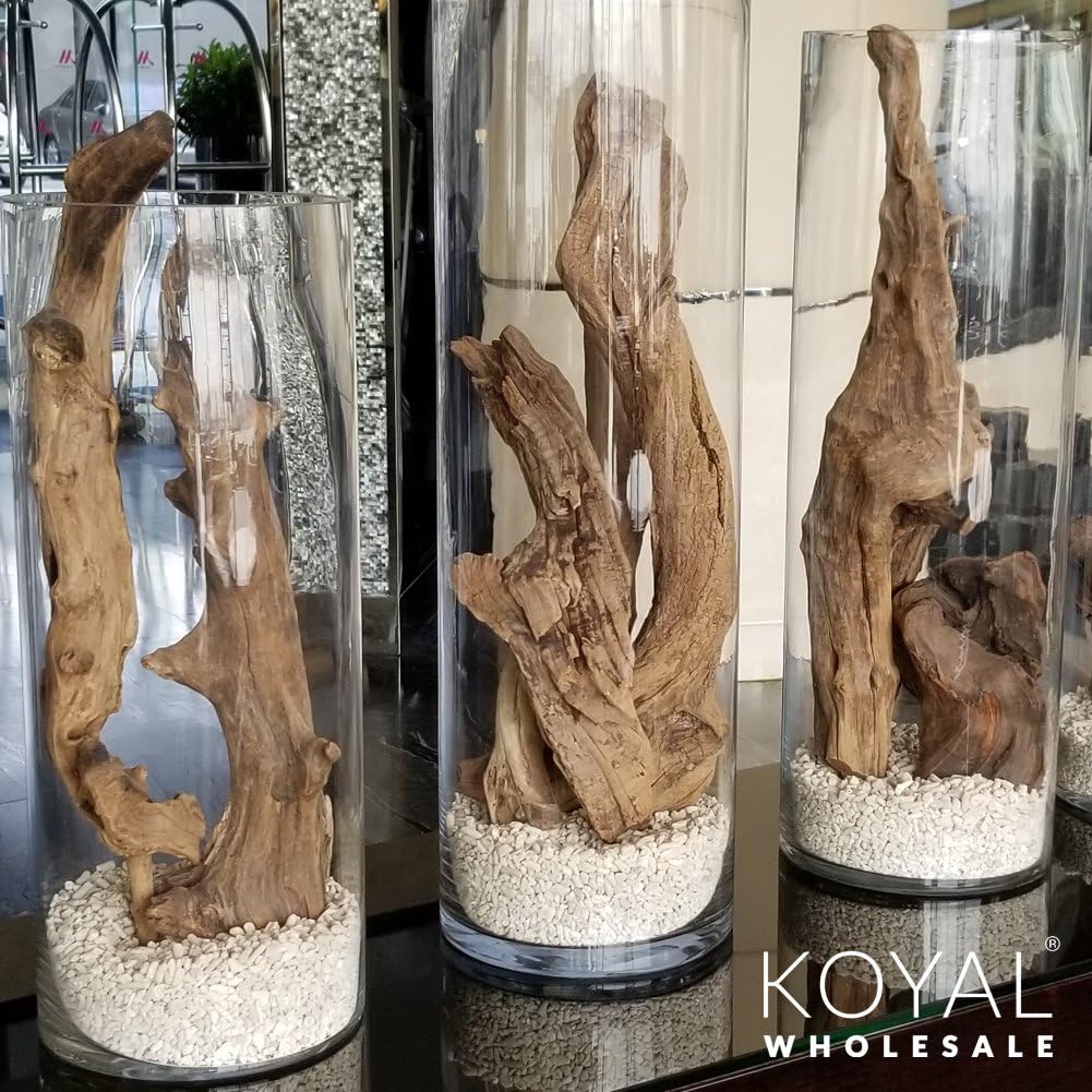 Koyal Wholesale 24" Driftwood Terrarium Decor, Clean California Manzanita Drift Wood Reptile Decor, Driftwood Decor for Home, Desert Reptile Supplies