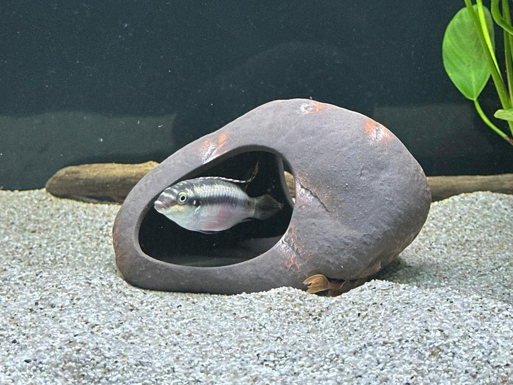 Plecoceramics Cichlid Stone Decoration - Aquarium cave for Cichlids, Betta, Small Fish - Fish Tank Hideway Decor - Betta Toys Hideout Stones House (Magma Stone Large)