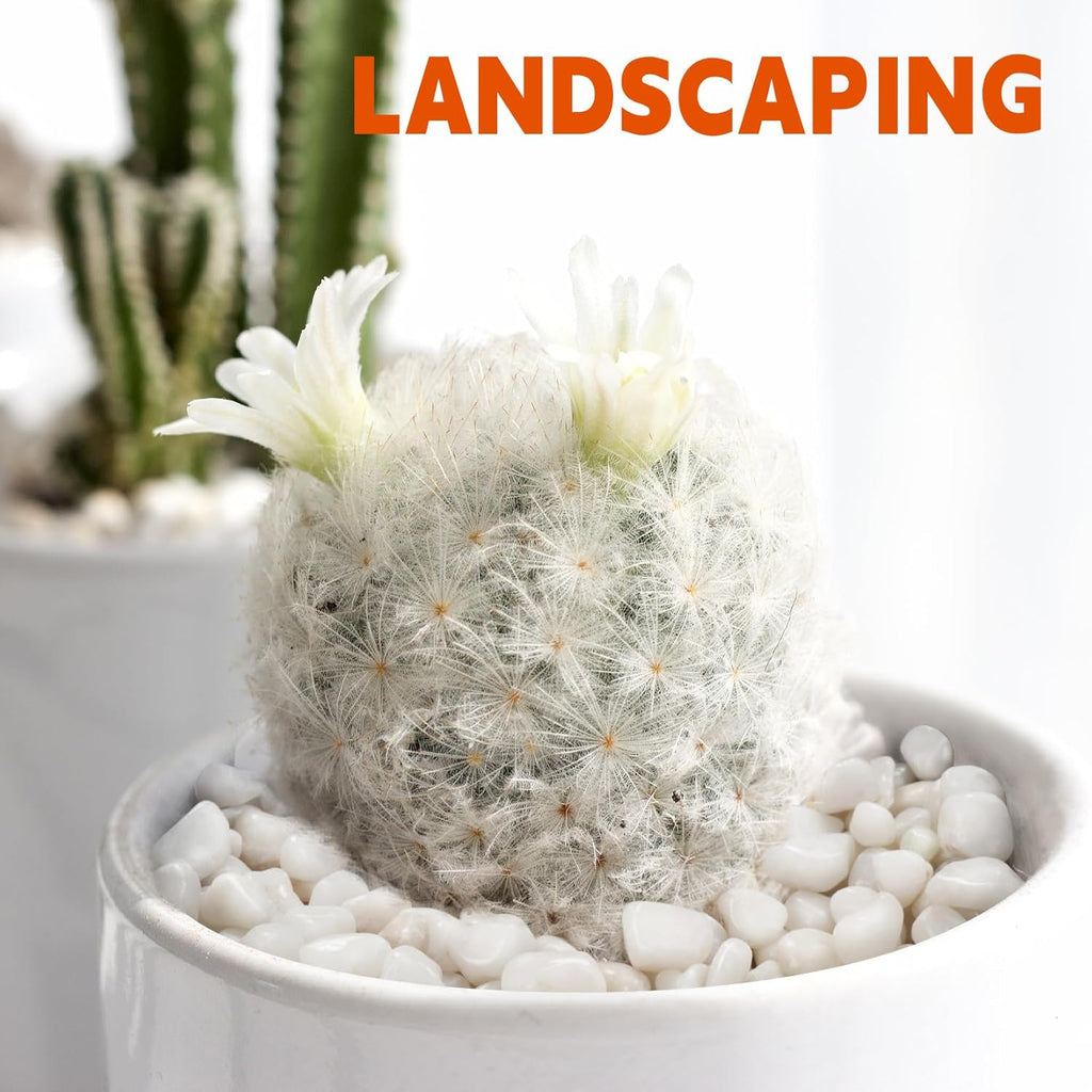 5 lb Natural Polished White Pebbles, 1/2 Inch Decorative White Rocks for Potted Plants Pot Filling Aquariums Outdoor Street Scape Decorative Rocks
