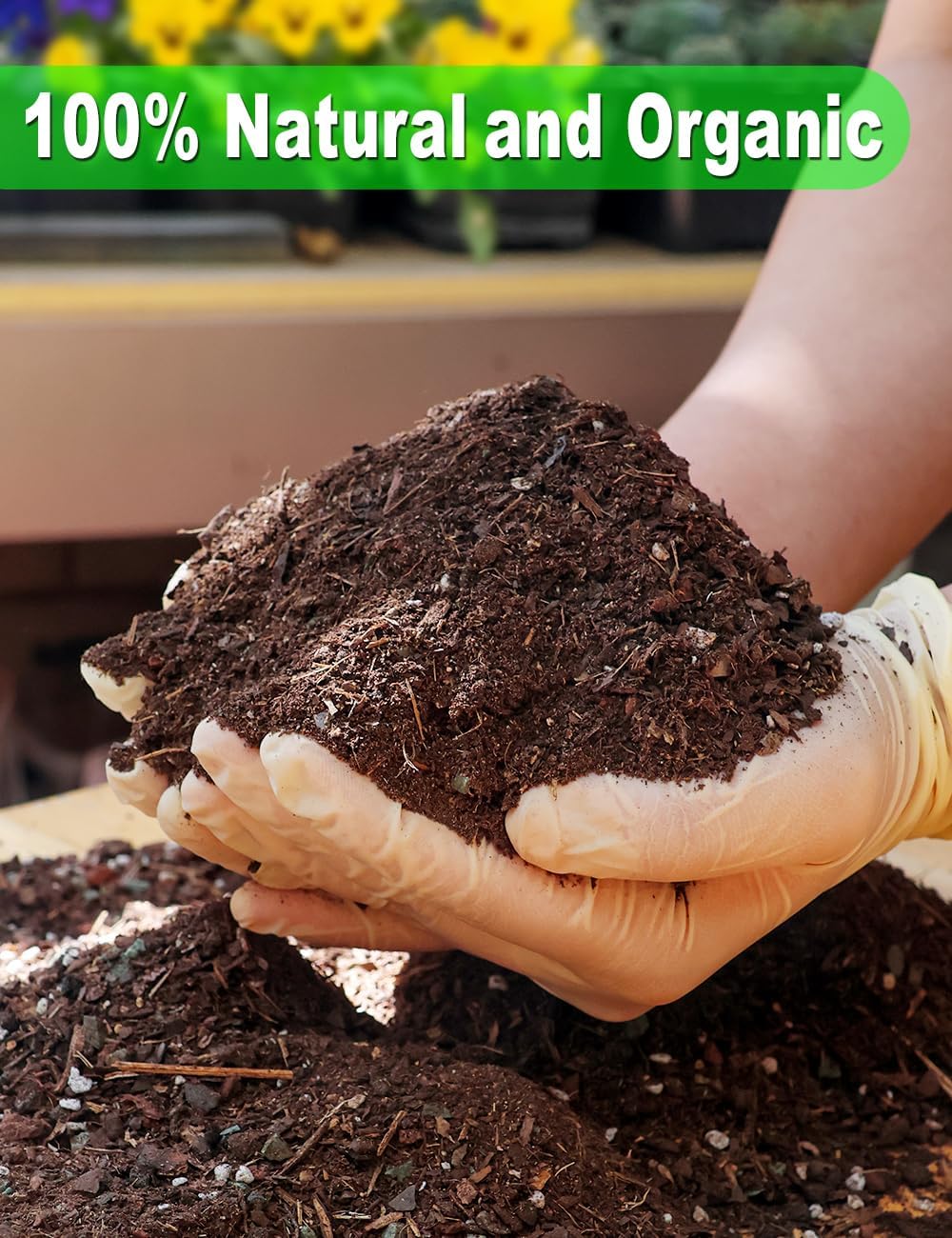 TOYPOPOR Succulent Soil, Cactus Potting Mix 1.25 Pounds/1 Quart, High Drainage, Pre-Mixed Ready to Use for All Succulent Varieties, Indoor Plants, Bonsai, Terrarium, Houseplant, 30% Particles 70% Soil
