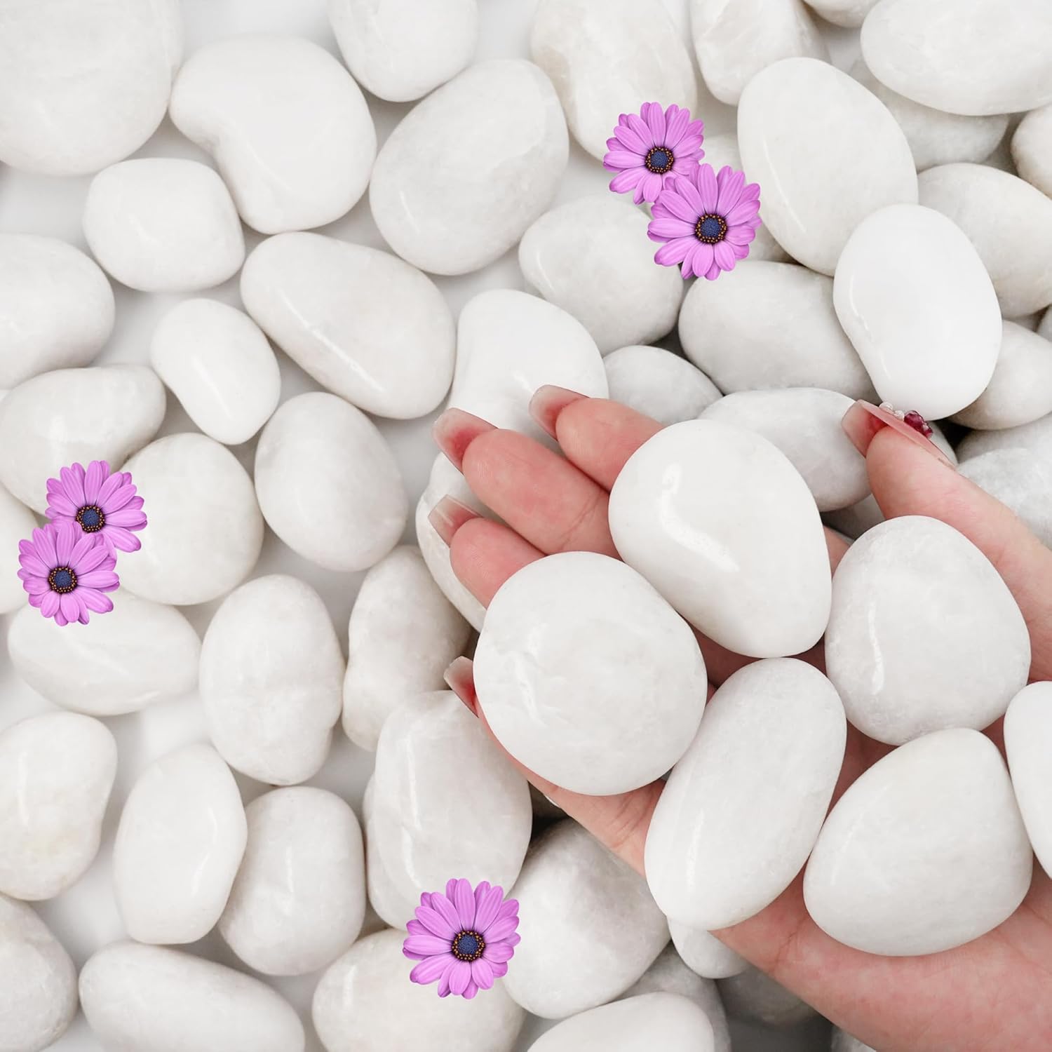 NUPICK 3lb White River Rocks for Plants Indoor, 1-2Inch Pebbles for Vases Fillers, Decorative Gravel for Fish Tank, Natural Polished Stones for Succulent, Bonsai, Landscaping, Bird Baths
