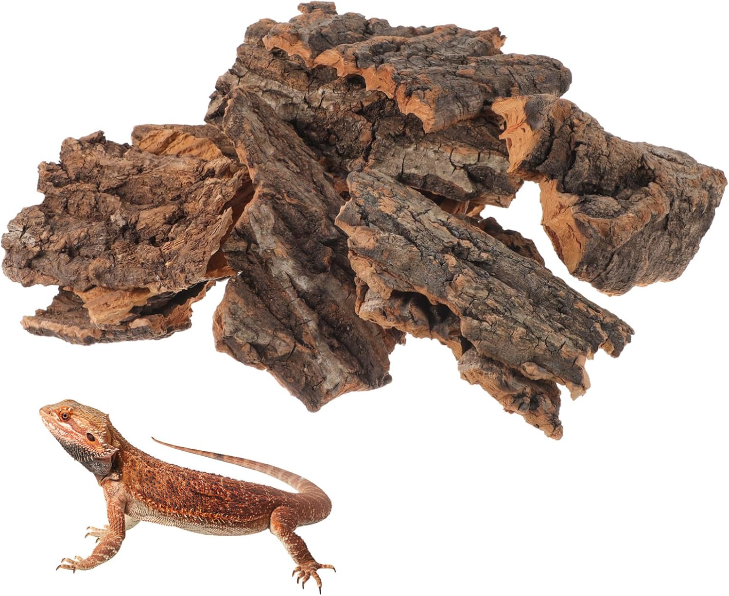 Cork Bark for Reptiles, 14Pcs Tree Bark Climbing Platform Reptile Hide Wood Natural Habitat Hiding Accessories for Gecko Bearded Dragons Lizards Turtles Terrarium
