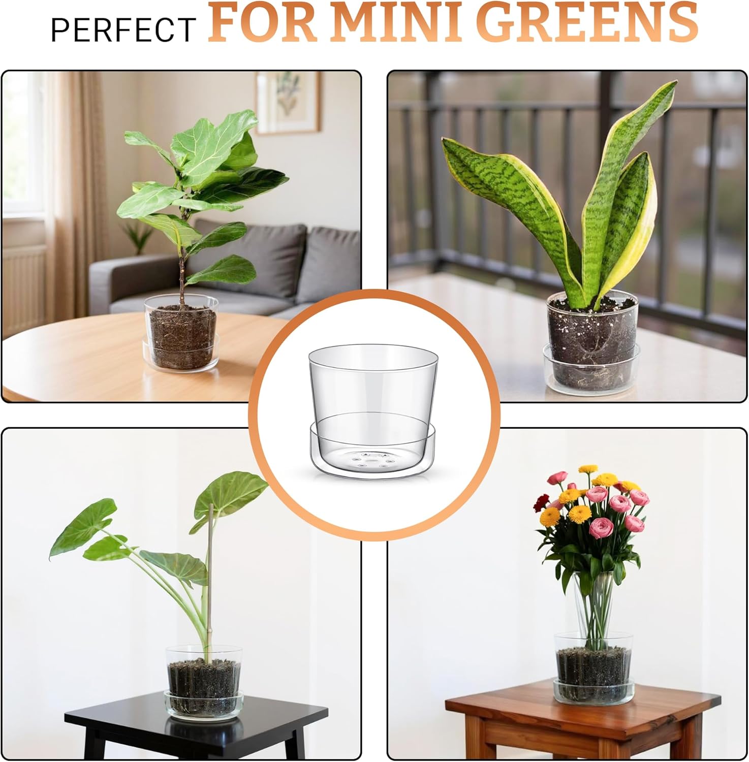 Sheer Glass Pot Planter with Drainage Holes & Tray - Decorative & Modern for All House Plants (8 Inches)