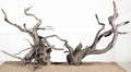 LANDEN Natural Spider Wood Aquarium Decorative Fish Tank Decorations, Driftwood Branches (12-16 Inch, XL) 4 Pcs