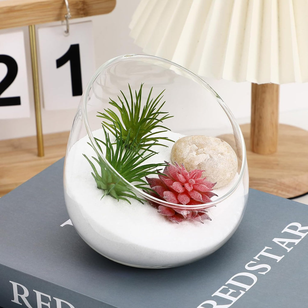 BESPORTBLE Slant Cut Glass Terrarium Bowl - Clear Glass Vase for Succulents, Air Plants, Cactus, Hydroponic Plants, Decorative Centerpiece, 4.72 X 4.72 X 3.93 Inch
