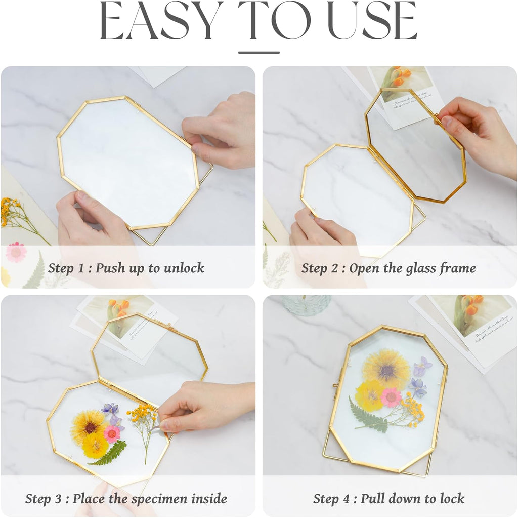 Glass Pressed Flower Frame Handmade, Metal Floating Picture Frame, Double Glass for Tabletop Display, Unique Brass Octagon, Gold, 6x8 Inches (Frame Only)