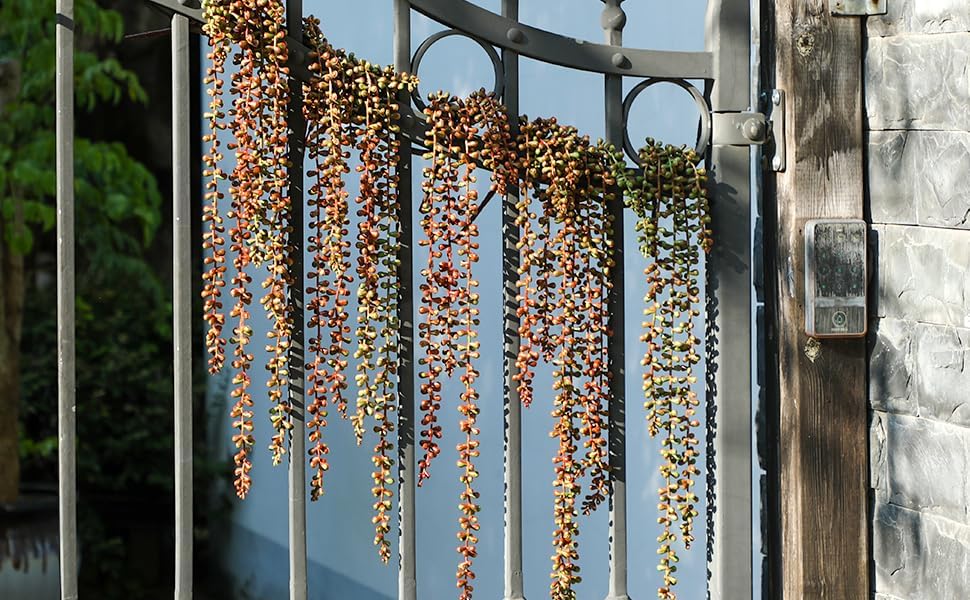 6PCS Orange Artificial Succulents Hanging Plants,27.5 Inch Fake String of Pearls Greenery Plants 5 Branches for Autumn Home Garden Office Party Balcony Wall Indoor Outdoor Fall Dec, Orange