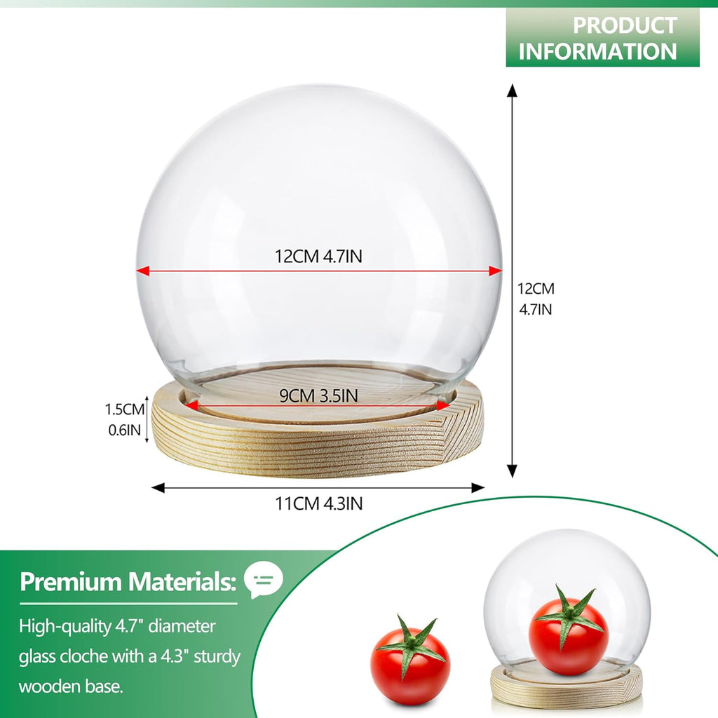 ZEERSHEE Round Glass Display Dome Cloche with Wooden Base for Home Decoration Diameter 4.7 Inches