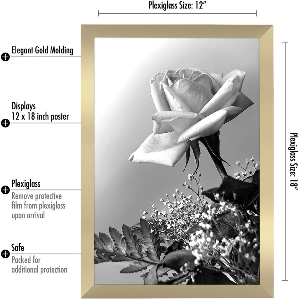 Americanflat 12x18 Poster Frame with Polished Plexiglass - Gold Picture Frame - Wide Photo Frames Made of Engineered Wood for Vertical or Horizontal Wall Display - Epic Collection - Gold