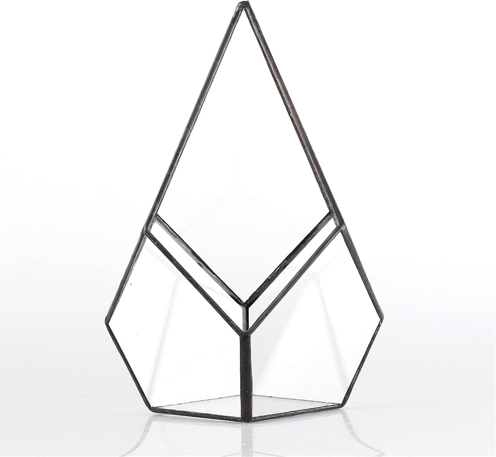 NCYP Geometric Glass Terrarium Planter - 5.5 x 5.5 x 9 Inches - Diamond Shape Flower Pot for Succulent Air Plant - Home, Office Desktop Decoration Terrarium, Black (No Plants Included)