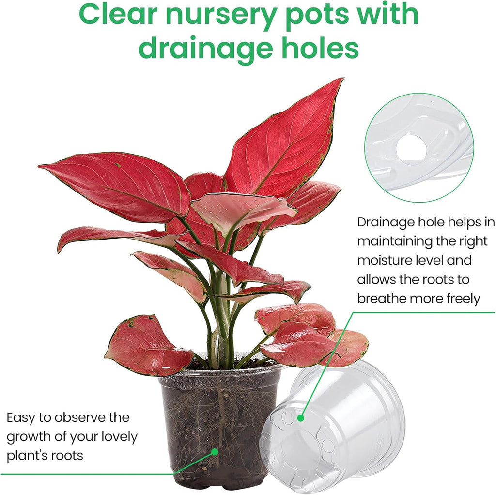 30 Packs 6.7/5/4 Inch Reinforced Clear Nursery Pots with Drainage Hole, Transparent Variety Pack Plastic Plant Pot Seedling Planter for Vegetable Propagation, Root Cutting, Seed Starting