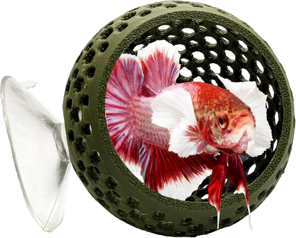CTWPets Natural Betta Bulb Hide | Betta Rest Fish Tank Ornament | Aquarium Cave with Suction Cup for Small Fish Tank, Betta Habitat, Shrimp Hideout, Aquatic Decor (Forest Green)