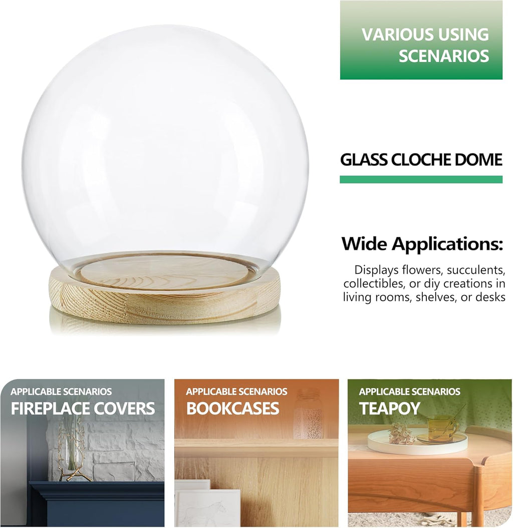 ZEERSHEE Round Glass Cloche Display Dome 6inch Decorative Glass Display Bell Jar for Plants Keepsakes Collectibles