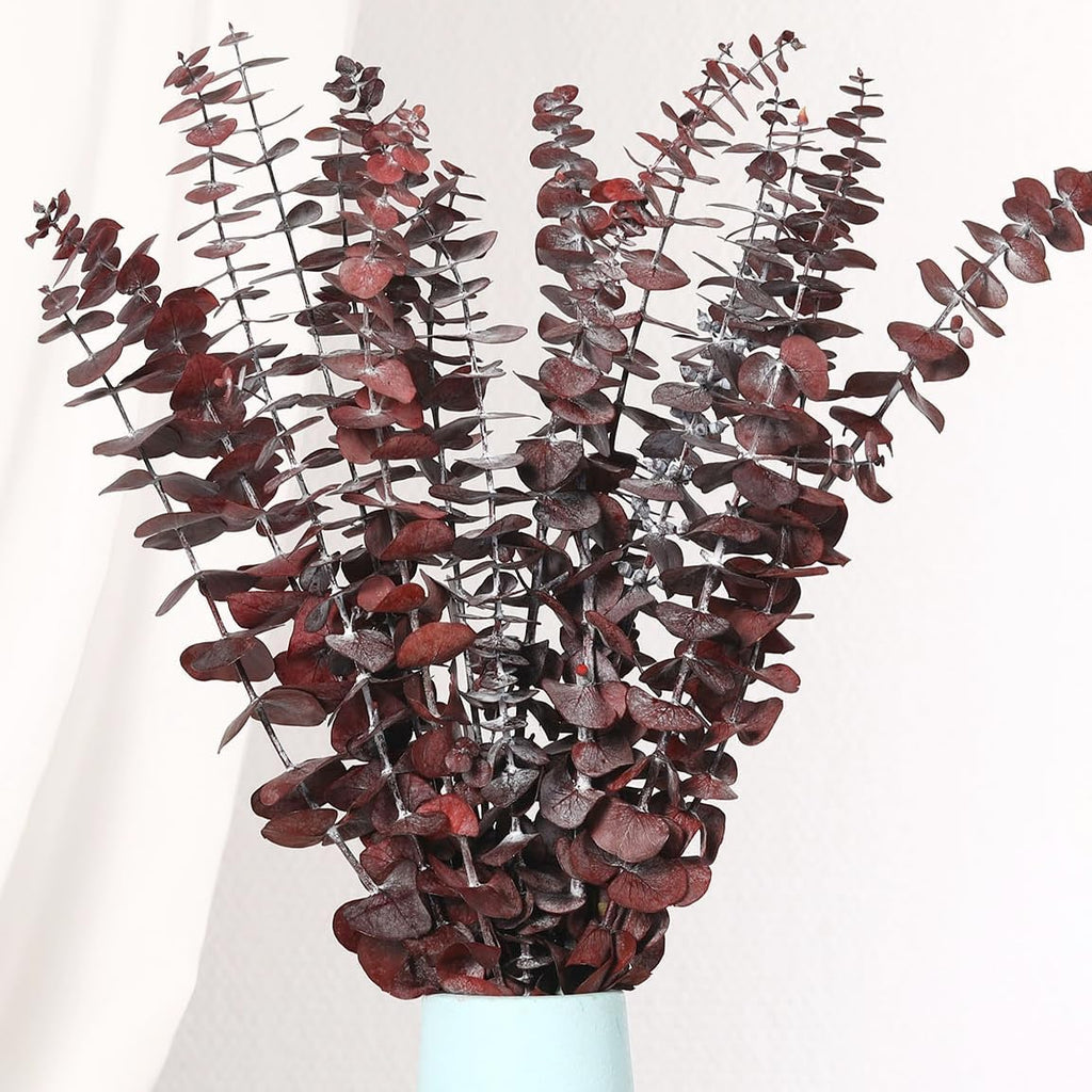20 Pcs Dried Eucalyptus Stems, 17'' Natural Real Live Red Eucalyptus Leaves Branches Hanging Shower, Preserved Dried Plants for SPA Home Fragrance Bathroom Table Vase Decor