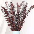 20 Pcs Dried Eucalyptus Stems, 17'' Natural Real Live Red Eucalyptus Leaves Branches Hanging Shower, Preserved Dried Plants for SPA Home Fragrance Bathroom Table Vase Decor