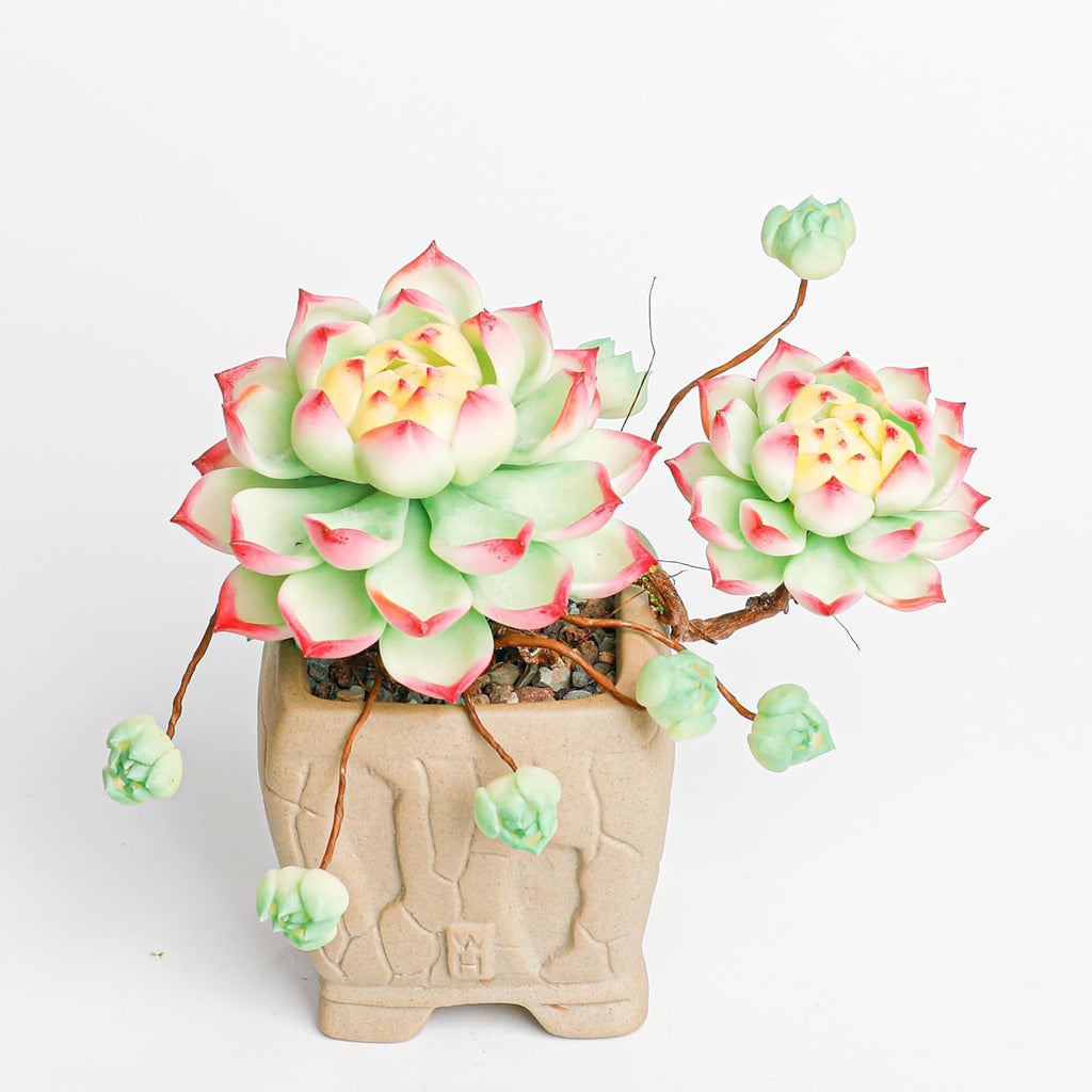Galagaga Handcrafted Artificial Succulent Plant in Textured Ceramic Pot, Pink and Mint Green Clay Flowers, Maintenance-Free Home Decor (1, shape7)
