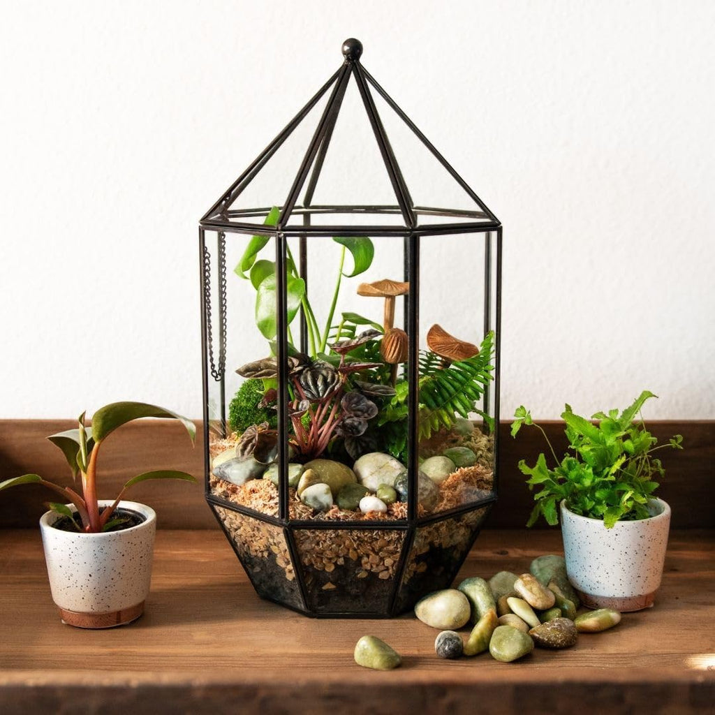 SuperMoss (90405) Glass Terrarium – Elegant Indoor Gardening Décor, Ideal Gifts for Plant Lovers, Modern Home & Office Decoration, 7.5” x 7.5” x 14”, Greenhouse