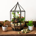 SuperMoss (90405) Glass Terrarium – Elegant Indoor Gardening Décor, Ideal Gifts for Plant Lovers, Modern Home & Office Decoration, 7.5” x 7.5” x 14”, Greenhouse