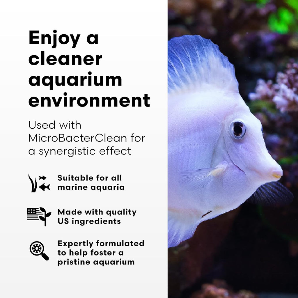 Brightwell Aquatics - Razor Marine - Unique Systemic Fish Tank Cleaner for Marine Aquariums - Aquarium Water Treatments, 4.22 fl oz