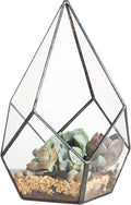 NCYP Geometric Glass Terrarium Planter - 5.5 x 5.5 x 9 Inches - Diamond Shape Flower Pot for Succulent Air Plant - Home, Office Desktop Decoration Terrarium, Black (No Plants Included)