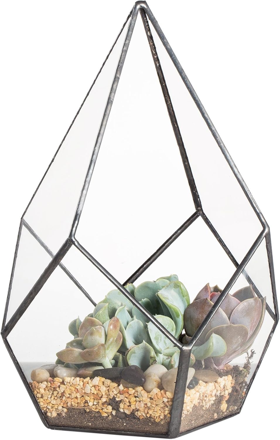 NCYP Geometric Glass Terrarium Planter - 5.5 x 5.5 x 9 Inches - Diamond Shape Flower Pot for Succulent Air Plant - Home, Office Desktop Decoration Terrarium, Black (No Plants Included)