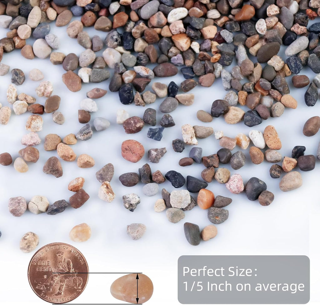 5lb Mixed Color Silica Gravel Pebbles, 1/5 inch Decorative Stones for Succulents, Pebbles for Vases,Plants Rocks, Aquarium Sand, Top Dressing, Outdoor Decorative Rocks