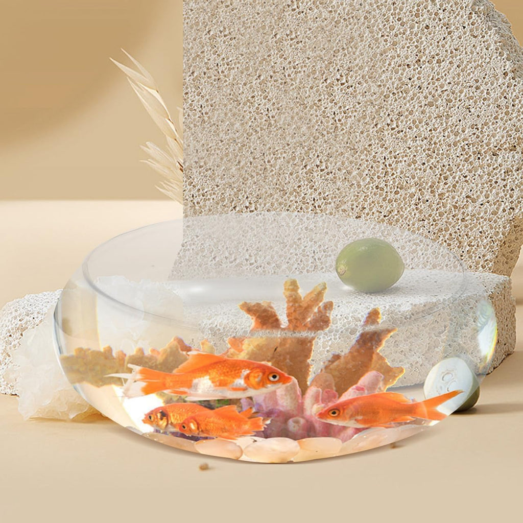 Happyyami Glass Fish Bowl Flower Glass Vase Bowl Clear Wide Mouth Round Vase Terrarium Air Plant Hydroponic Succulent Planter Floral Container Vase for Home Office Wedding L