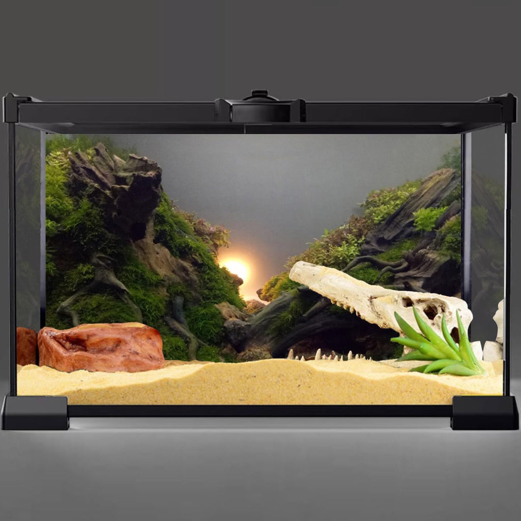 AWERT River Bed & Lake Aquarium Background Sunshine Aquatic Plant Fish Tank Background Vinyl 48x18 inches