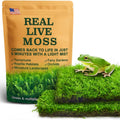 Live Moss Duo Pack 2 Types of Real Live Sheet/Sphagnum Moss for Terrariums, Terrarium Mosses Landscaping, Reptile Tank Accessories, Snake & Gecko Humidity Substrate Mosses for Crafts & Plant Décor