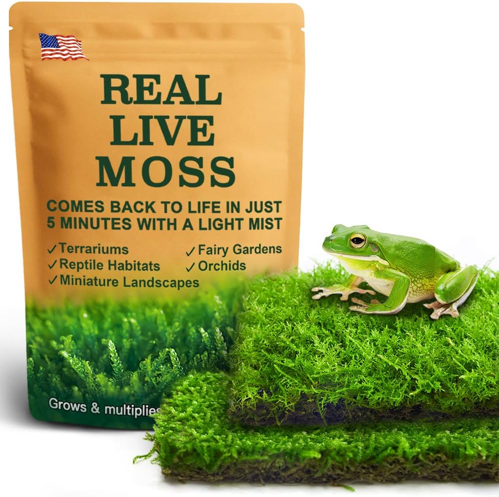 Live Moss Duo Pack 2 Types of Real Live Sheet/Sphagnum Moss for Terrariums, Terrarium Mosses Landscaping, Reptile Tank Accessories, Snake & Gecko Humidity Substrate Mosses for Crafts & Plant Décor