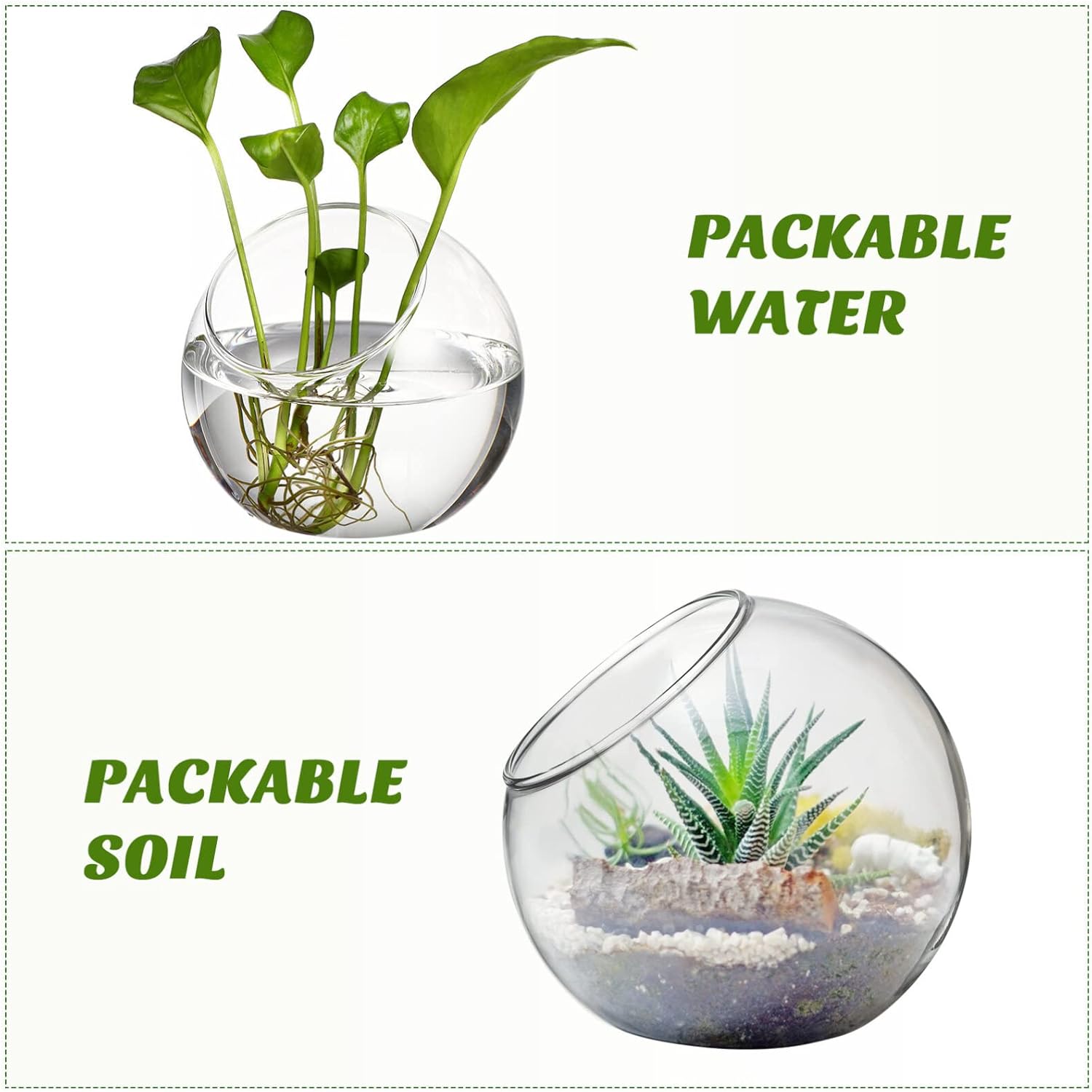 balacoo 3 Pcs Glass Terrariums Bowl for Plants, Terrarium Jar for Air Plant Clear Globe Vase Glass Bowl for Home Desktop Decor
