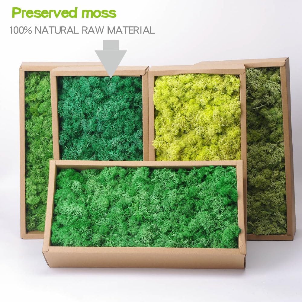Preserved Reindeer Moss Craft Kit - 17.6oz Natural Green - DIY Art Wall Florist Terrariums Decor (Turquoise 17.6 OZ)