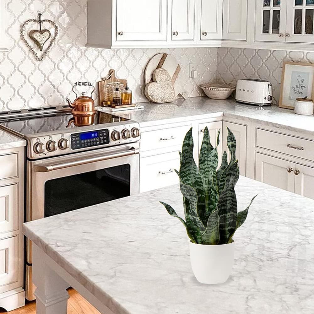 Hollyone Artificial Snake Plant Potted Faux Sansevieria Trifasciata Plants, 16.5" Tropical Fake Snake Plants in White Pots for Home Office Desk Outdoor Décor Housewarming Gift